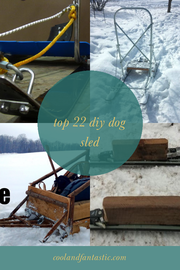 Top 22 Diy Dog Sled Home, Family, Style and Art Ideas